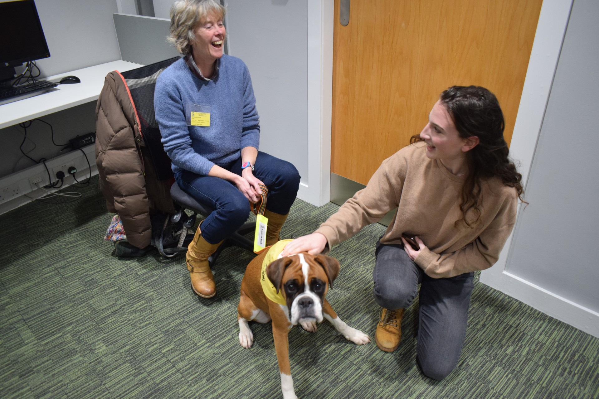 Doting dogs give Abertay students a calming canine cuddle