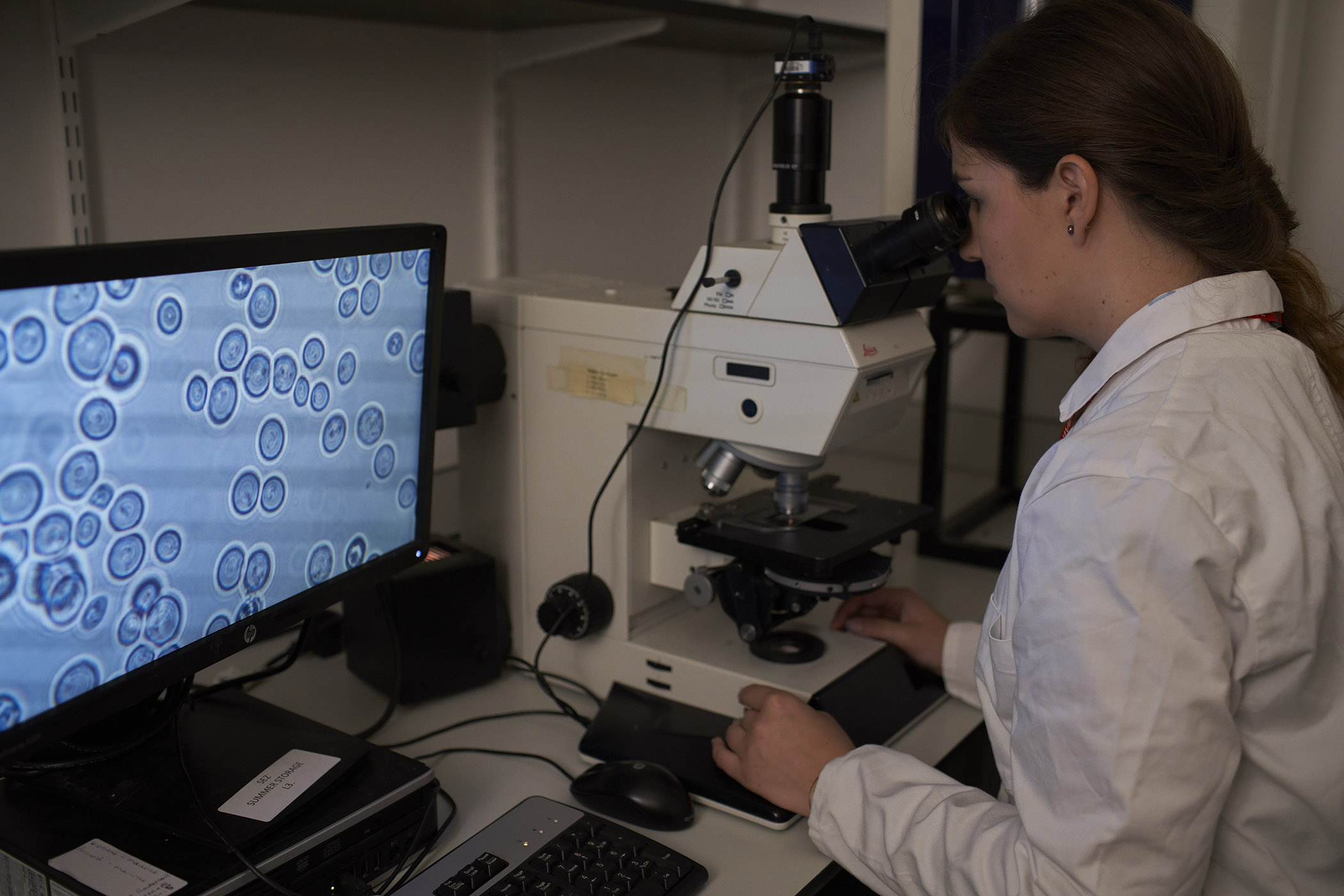 student in lab with microscope