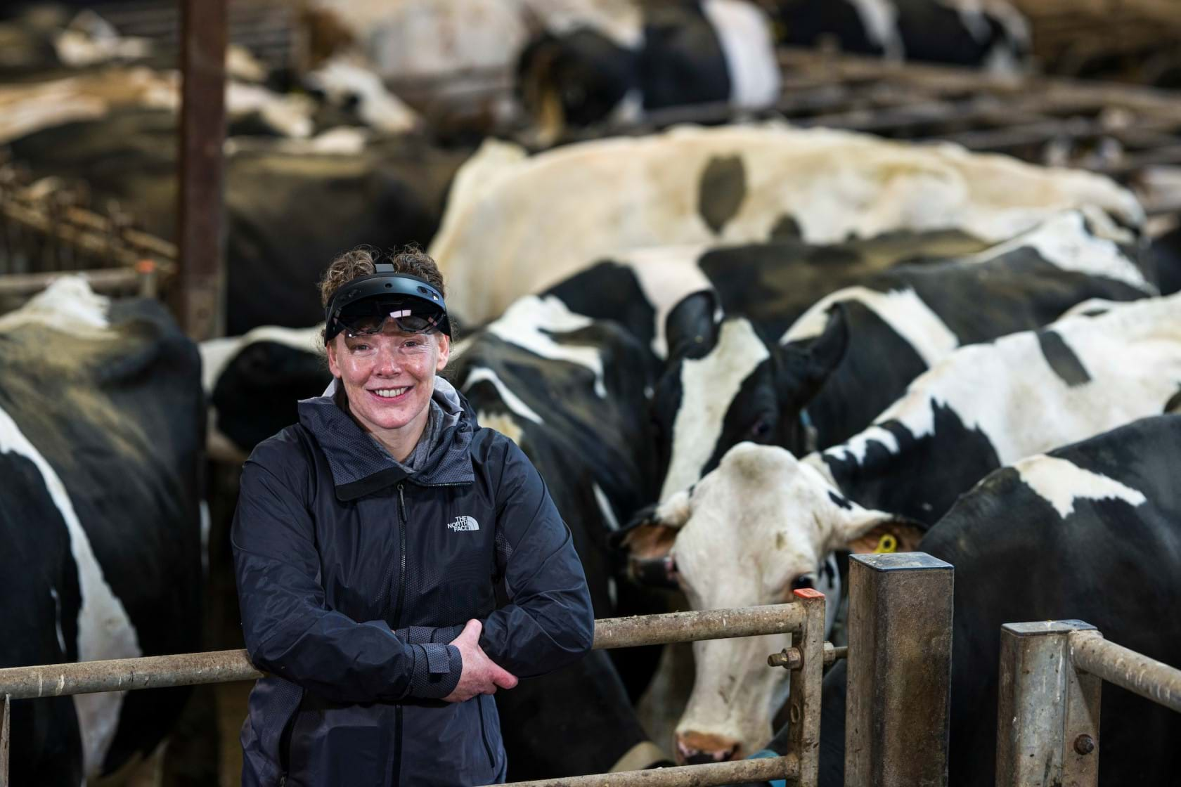 Professor Ruth Falconer wearing a hololens at a farm