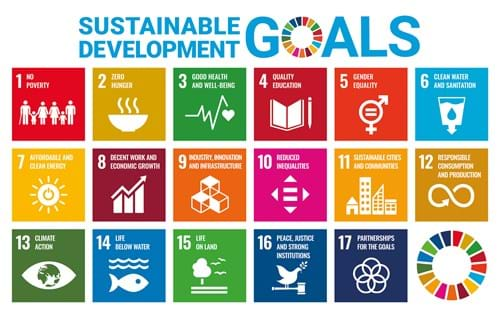 17 UN Sustainable Development Goals